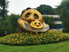 -成都大熊猫繁育研究基地