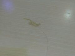 -阿兰老家(长乐路店)