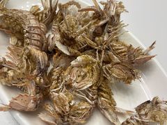 -金海湾海鲜排档(朱家尖店)