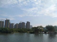 -五缘湾湿地公园