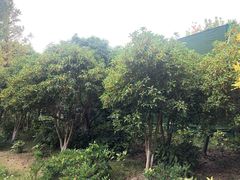 -东湖景区