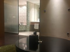 -成都明宇丽雅饭店
