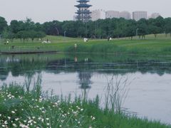 -洋湖国家湿地公园
