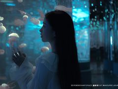 -石家庄海洋公园