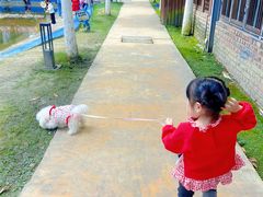 -洪湖家庭农场·团建·露营·会议