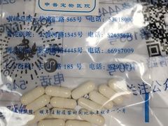 -申普宠物医院·心脏介入·心血管微创(总院)