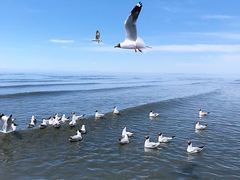 -青海湖仙女湾景区