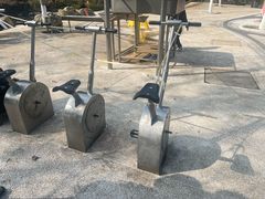-杭州少年儿童公园