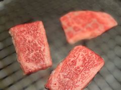 -焼肉とビール 市場小路(四条烏丸店)