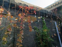 -毛辣果·贵州红酸汤牛肉火锅(西单店)