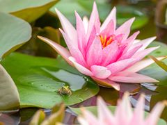 -国家植物园南园