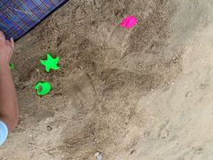 -黄金海岸环岛路