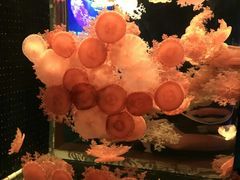 -多彩贵州城极地海洋世界