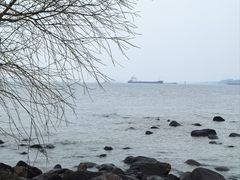 -上海吴淞炮台湾国家湿地公园