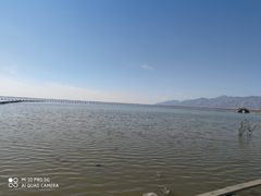 -哈素海