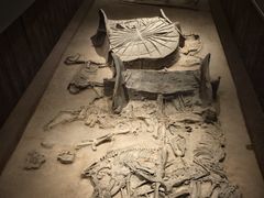 -北京大葆台遗址博物馆