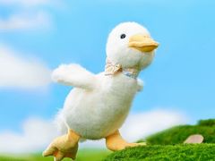 -七彩云南第壹城