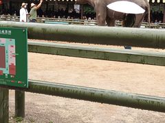 -野象谷景区