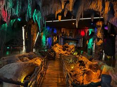 -乐山乌木文化博览苑