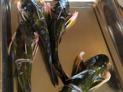 -荣德灶台鱼(圣泉寺店)