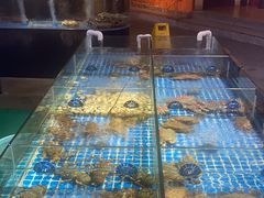 -陶缘一号·四季缘·老字号顺德菜·户外婚礼家宴(西滘店)