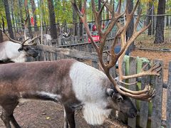 -北极村旅游风景区