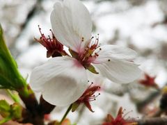 -梅园食堂
