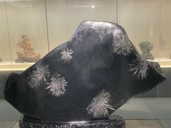 -安徽省地质博物馆