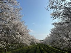 -凤凰沟景区