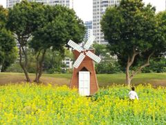 -香山湖公园