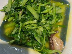 -雨后行菜(报慈北路店)