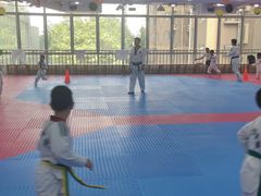 -陈中跆拳道(中关村馆)