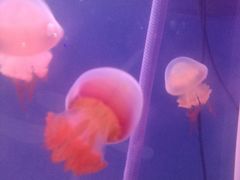 -欧亚达商业广场(红桥店)