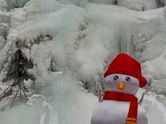 -鲁山国家森林公园