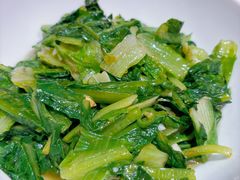 油麦菜-衡厨·衡阳土菜(中南店)