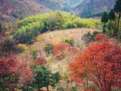 -四明山国家森林公园