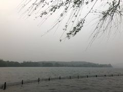 -西湖外事游船(花港观鱼码头)