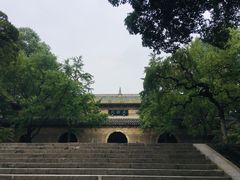 -灵谷景区