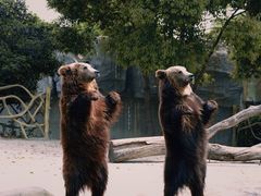 -常州淹城野生动物世界