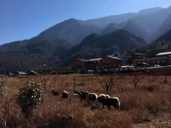 -丽江泸沽湖景区