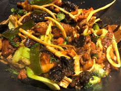 -食乐佳麻辣香锅(森林摩尔商业街区店)