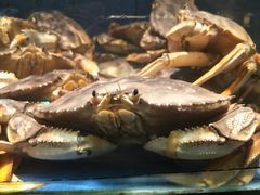 -徐记海鲜(陕西历史博物馆|明德门店)