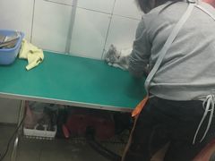 -艾咪宠物店(长宁支路店)