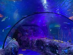 -沈阳海洋探索中心