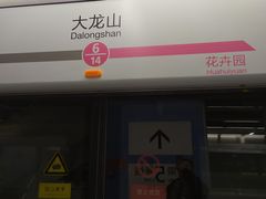 -大龙山(地铁站)