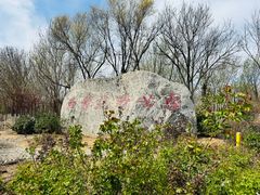 -西青郊野公园