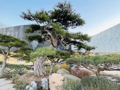 -罗红摄影艺术馆