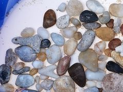 -海南棋子湾开元度假村·祺咖啡自助餐厅