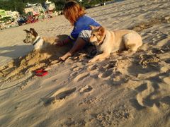 iphone_upload_pic-垦丁大街