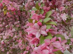 -蓝地时尚庄园(北京清河营地铁站店)